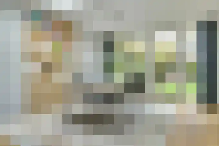 Schubertlaan 6 Waalre thumbnail 13