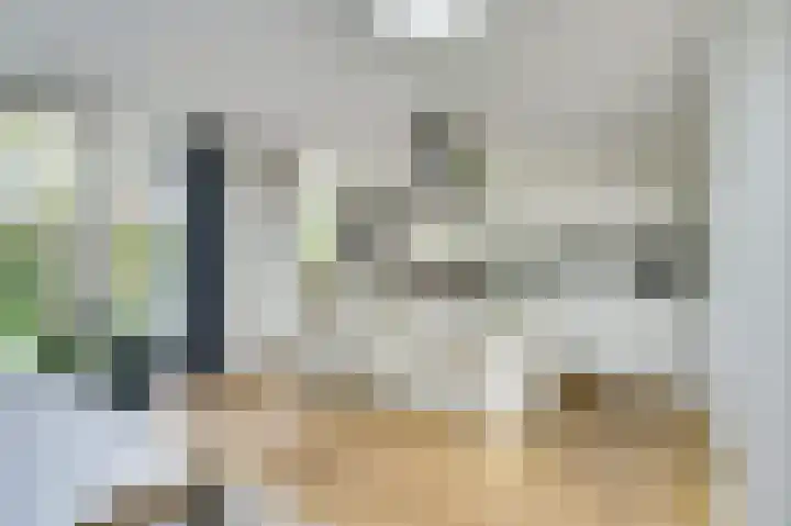 Schubertlaan 6 Waalre thumbnail 15