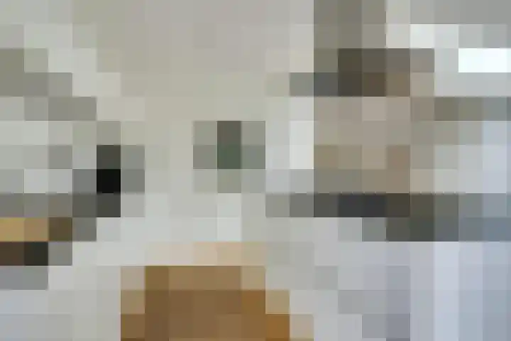 Schubertlaan 6 Waalre thumbnail 16