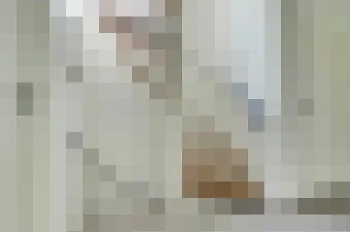 Schubertlaan 6 Waalre thumbnail 17