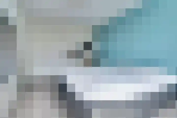 Schubertlaan 6 Waalre thumbnail 20