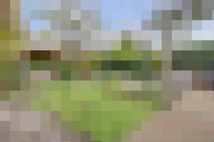 Schubertlaan 6 Waalre thumbnail 32