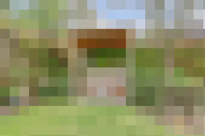 Schubertlaan 6 Waalre thumbnail 33