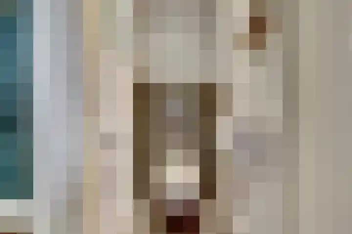 Schubertlaan 6 Waalre thumbnail 6
