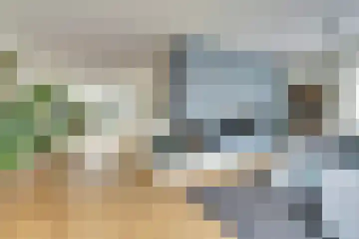 Schubertlaan 6 Waalre thumbnail 8