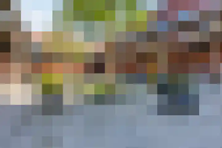 Schubertlaan 609 Maassluis thumbnail 33