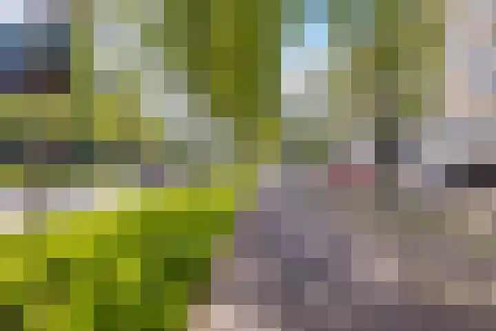 Schubertlaan 609 Maassluis thumbnail 37