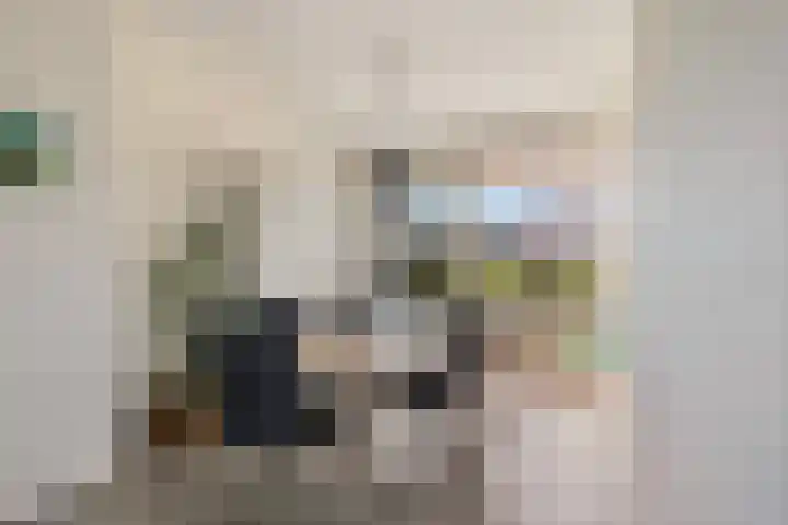 Schubertlaan 61 Rotterdam thumbnail 14