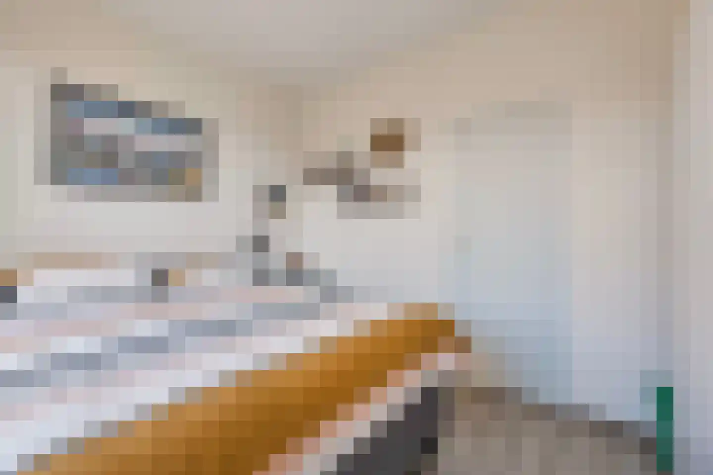 Schubertlaan 61 Rotterdam thumbnail 28