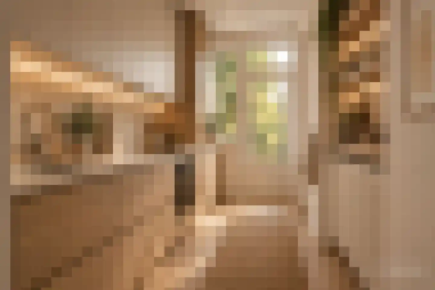 Schubertlaan 63 Rotterdam thumbnail 7