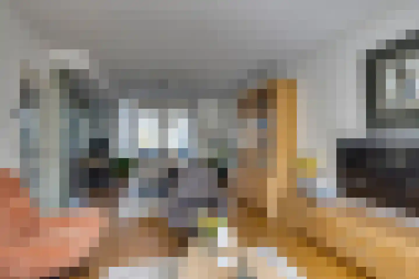 Schubertlaan 64 Eindhoven thumbnail 11