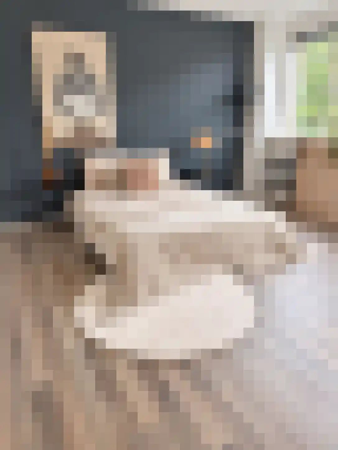 Schubertlaan 64 Eindhoven thumbnail 13