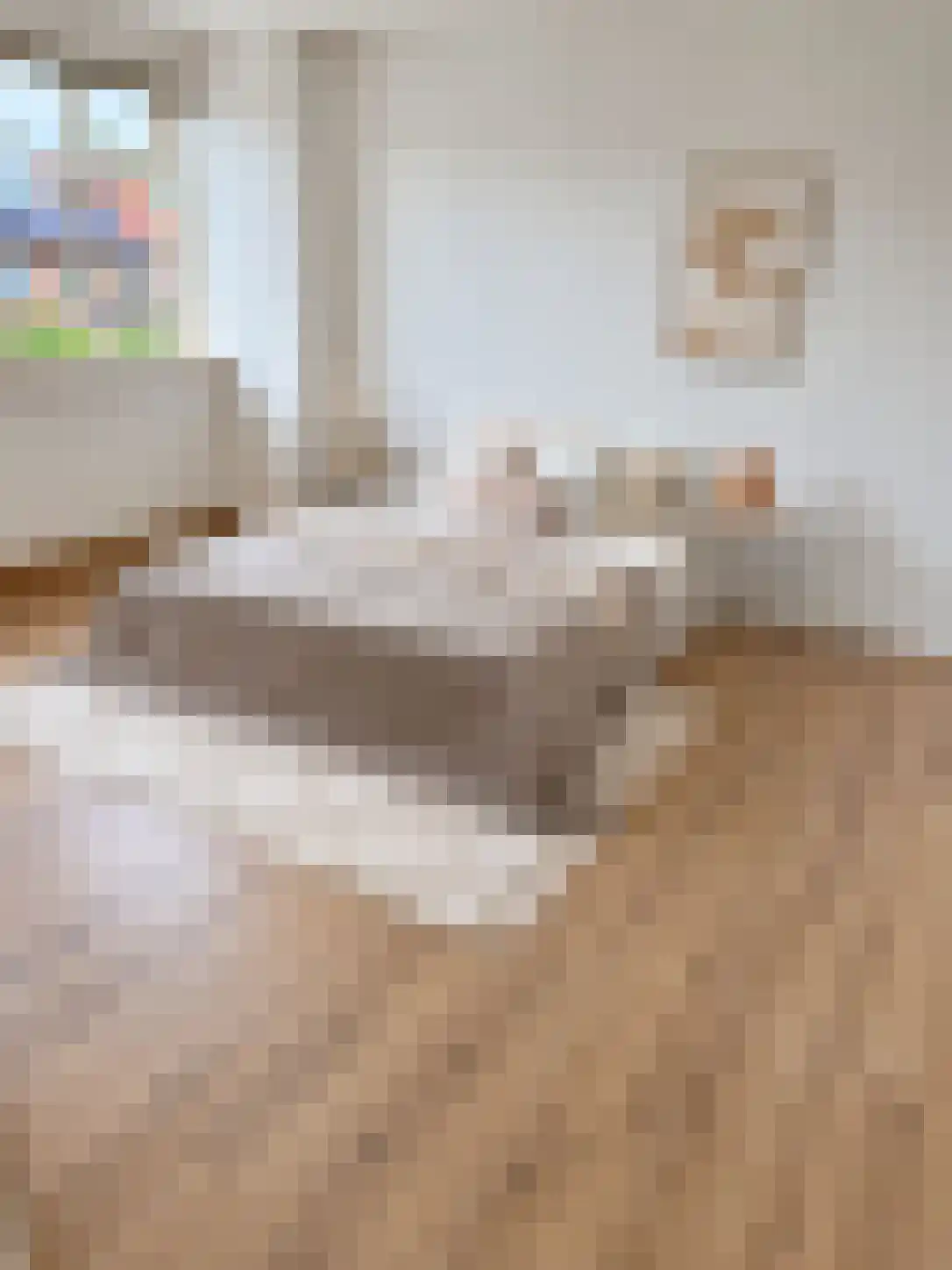 Schubertlaan 64 Eindhoven thumbnail 14