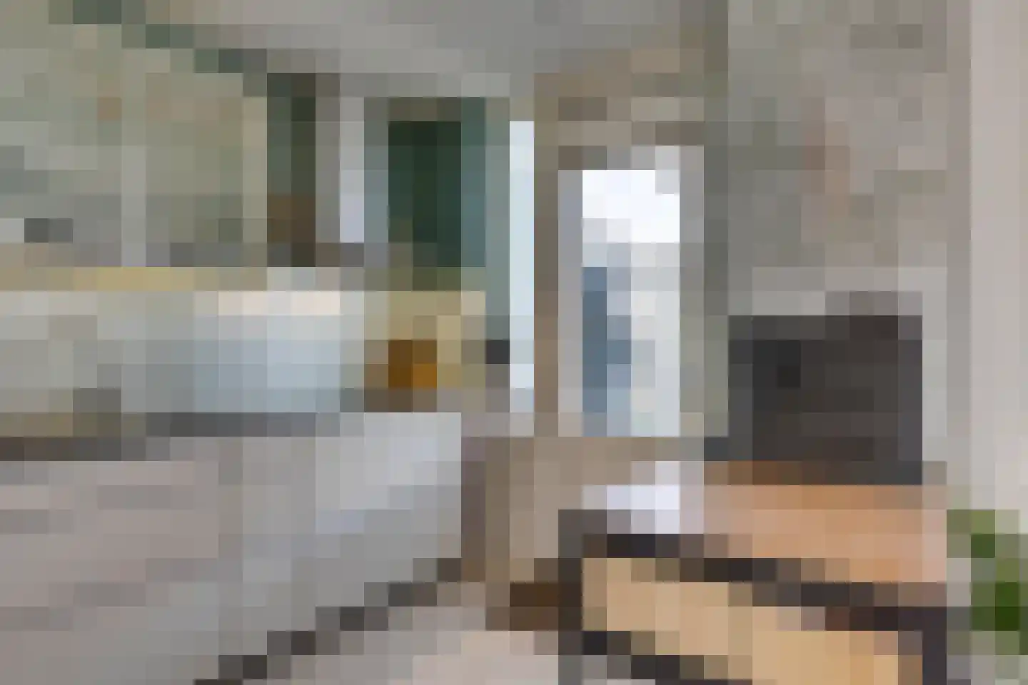 Schubertlaan 64 Eindhoven thumbnail 15
