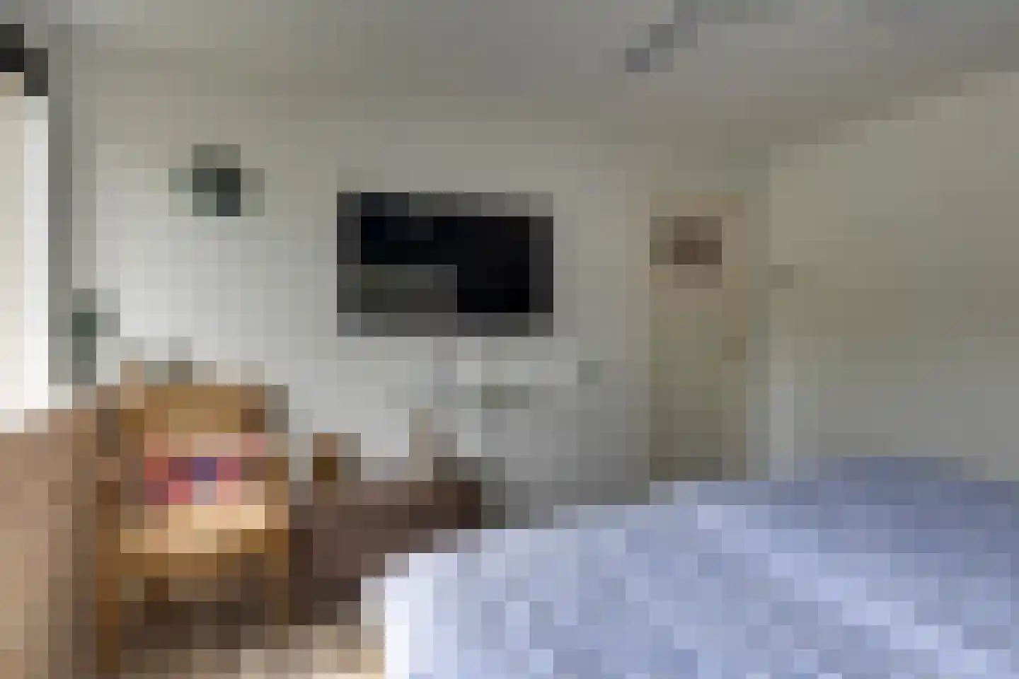 Schubertlaan 64 Eindhoven thumbnail 17
