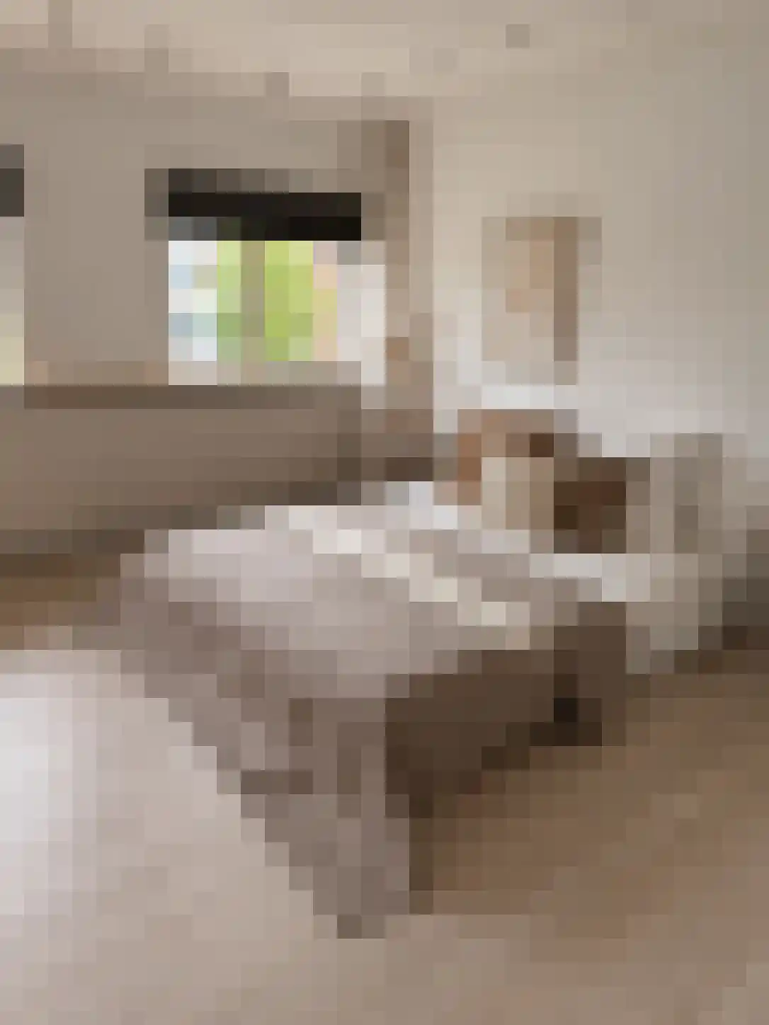 Schubertlaan 64 Eindhoven thumbnail 19