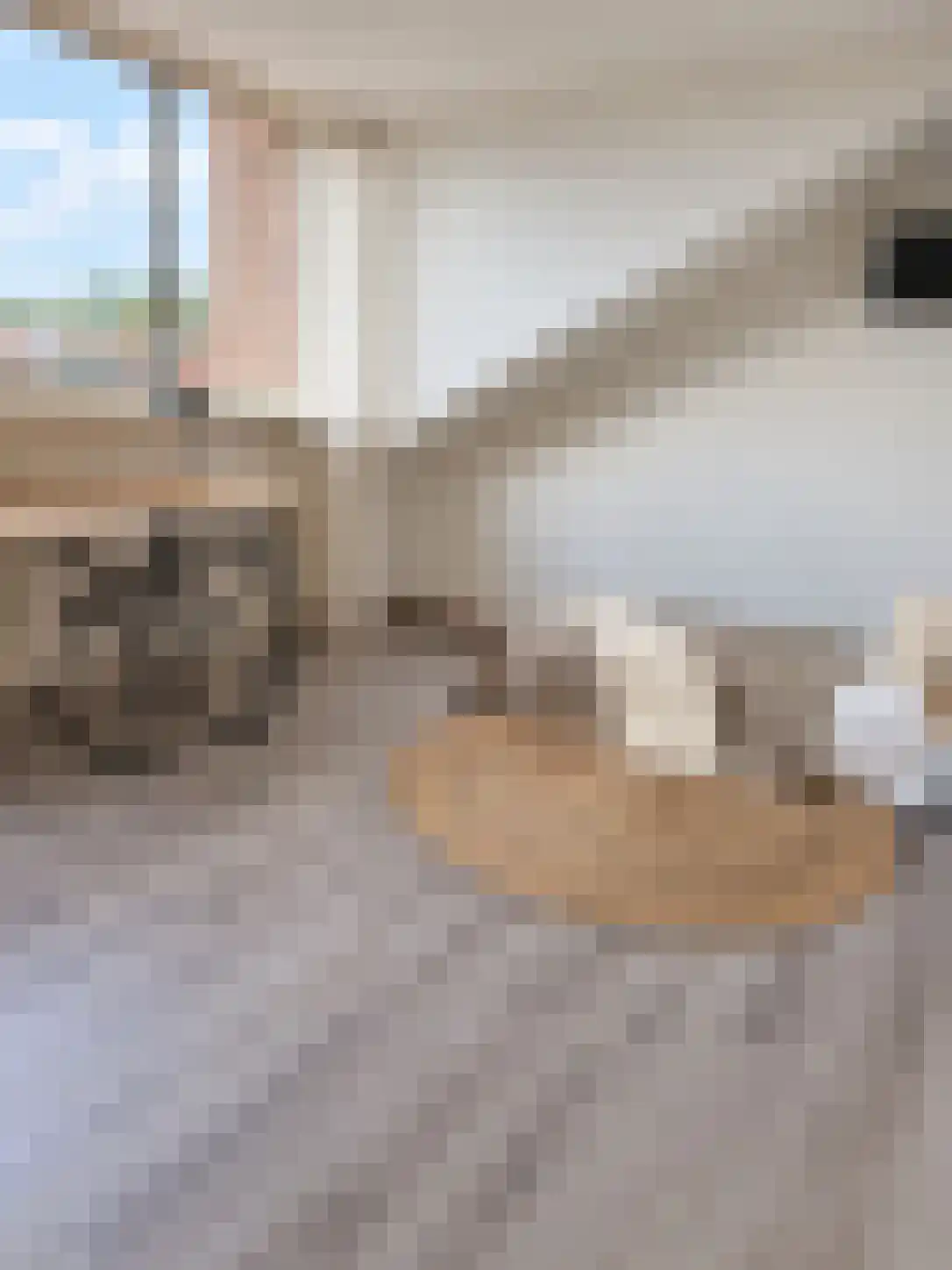 Schubertlaan 64 Eindhoven thumbnail 20