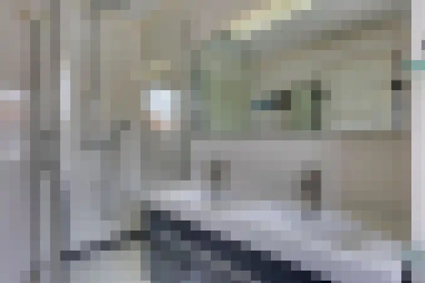 Schubertlaan 64 Eindhoven thumbnail 22