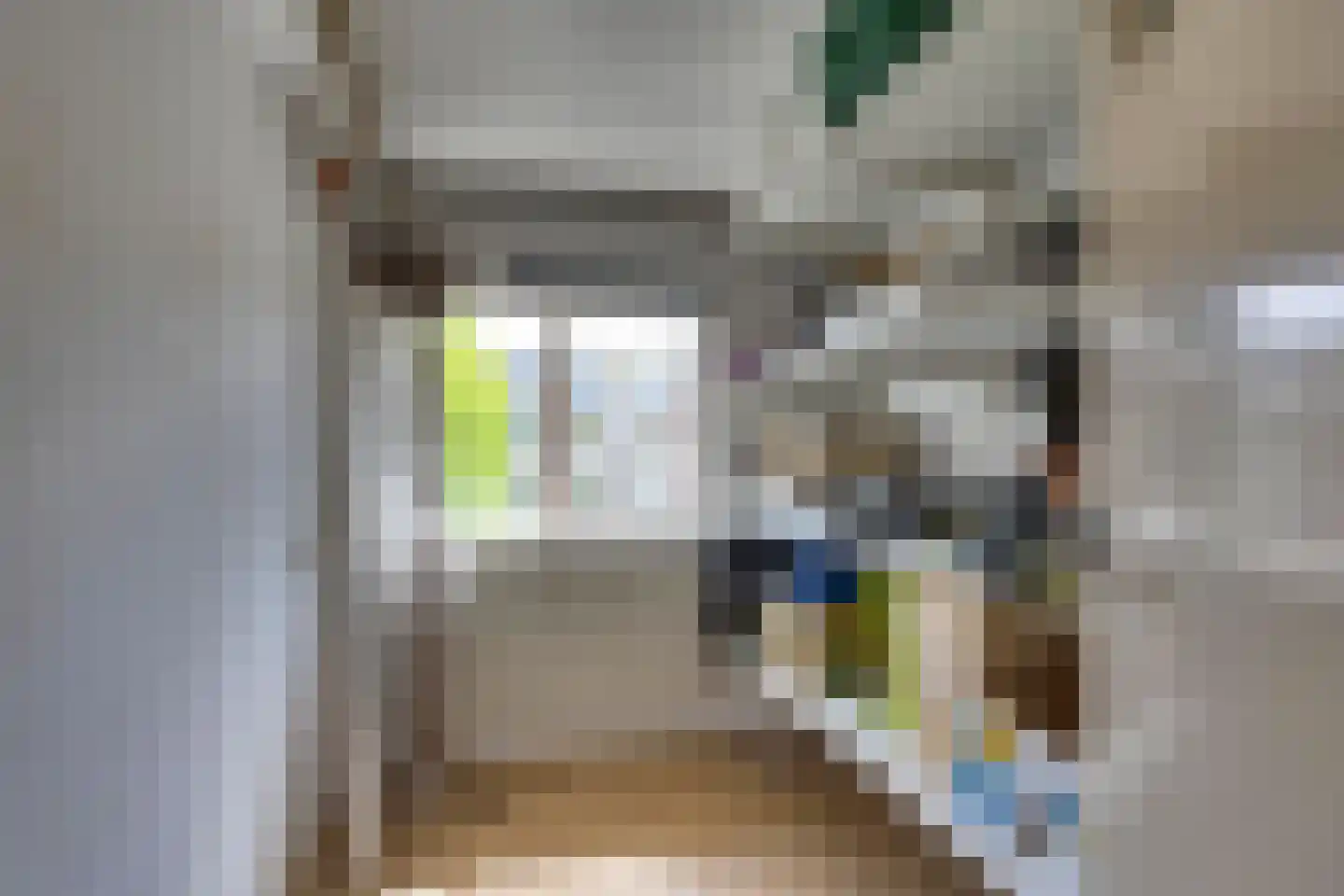 Schubertlaan 64 Eindhoven thumbnail 28