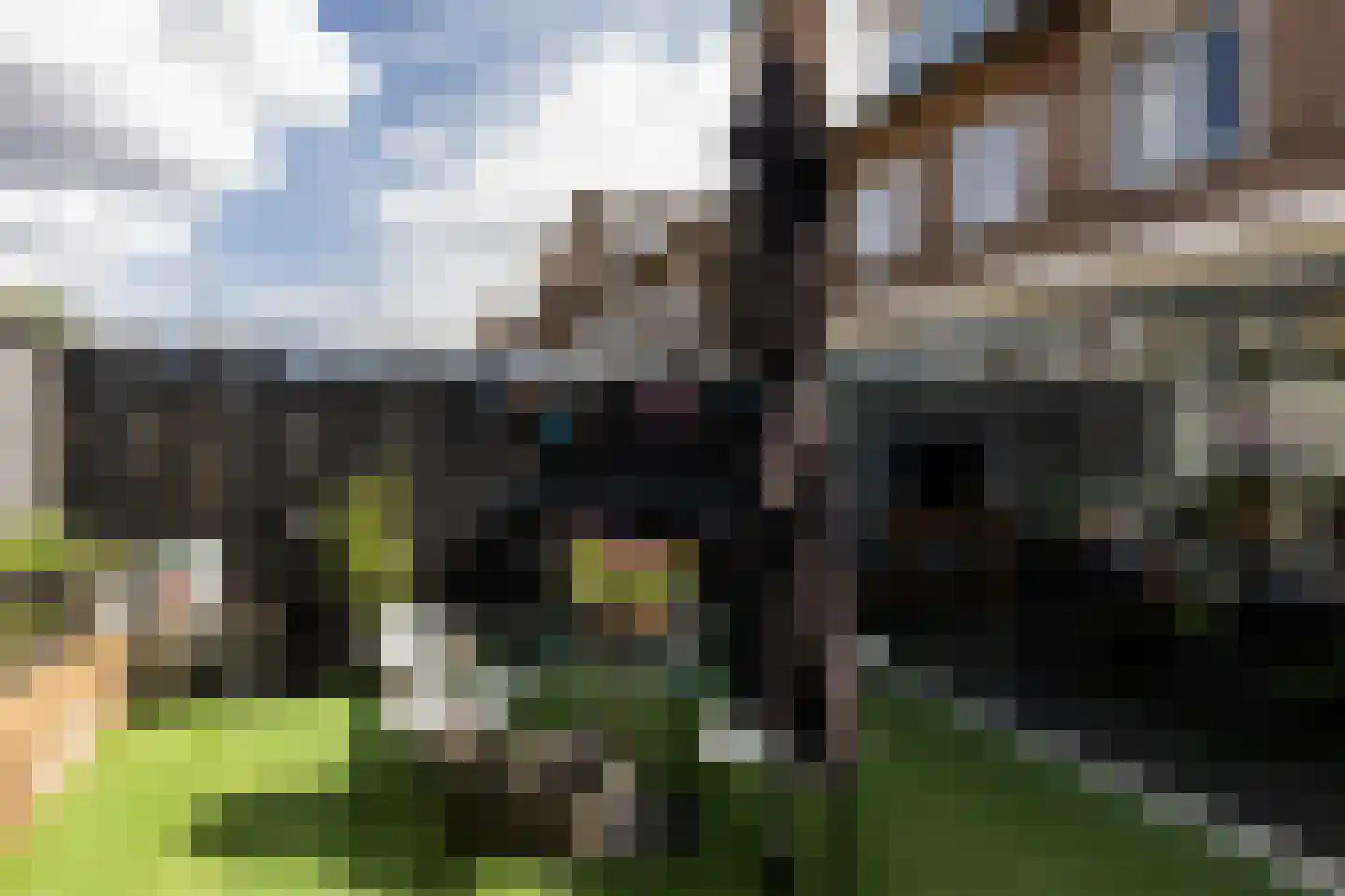 Schubertlaan 64 Eindhoven thumbnail 34