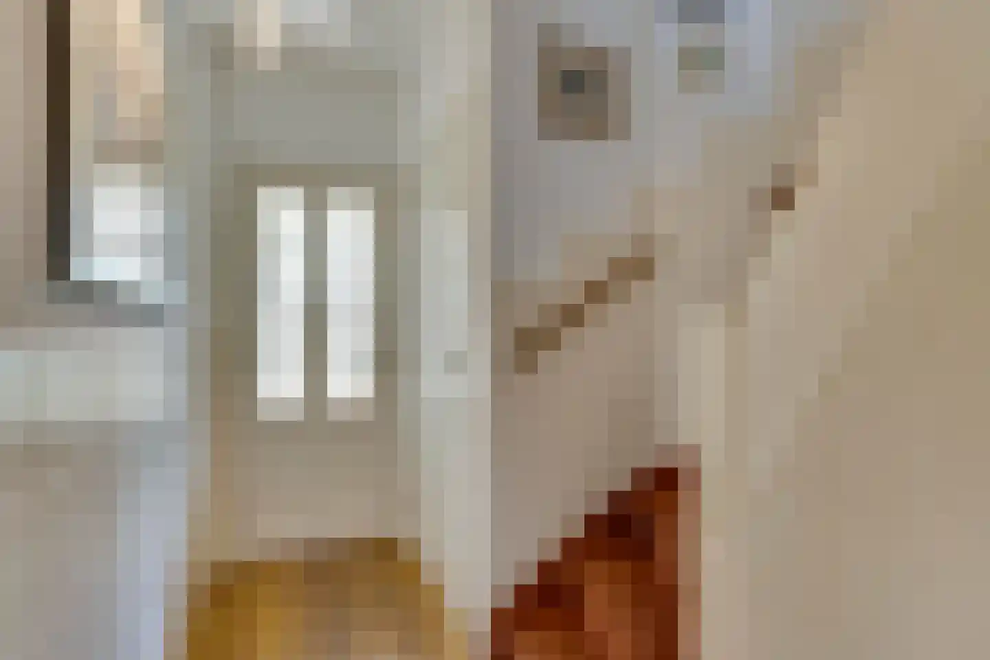 Schubertlaan 64 Eindhoven thumbnail 4