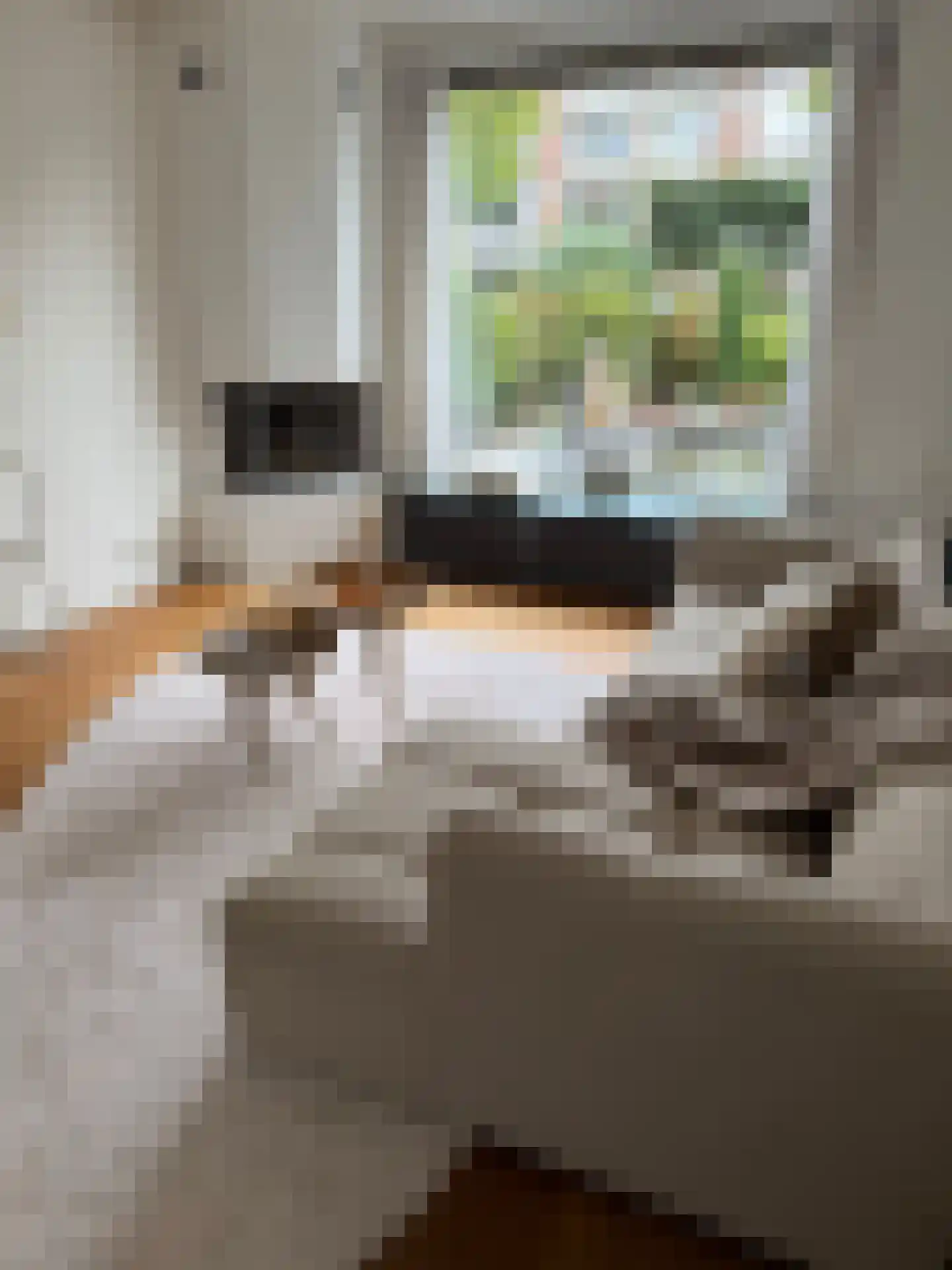Schubertlaan 64 Eindhoven thumbnail 7