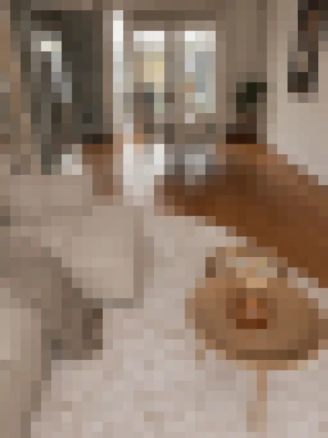 Schubertlaan 64 Eindhoven thumbnail 8