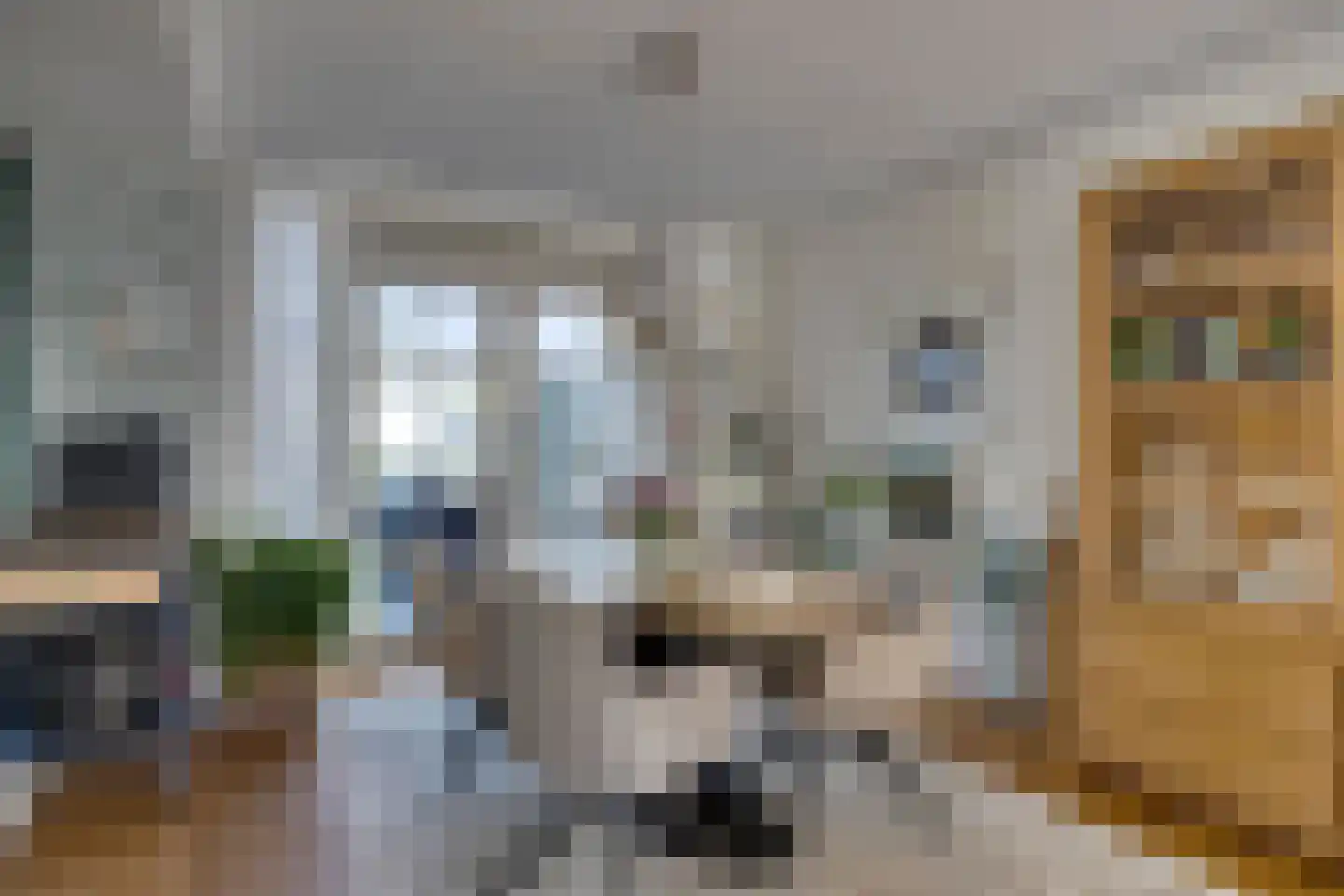 Schubertlaan 64 Eindhoven thumbnail 8