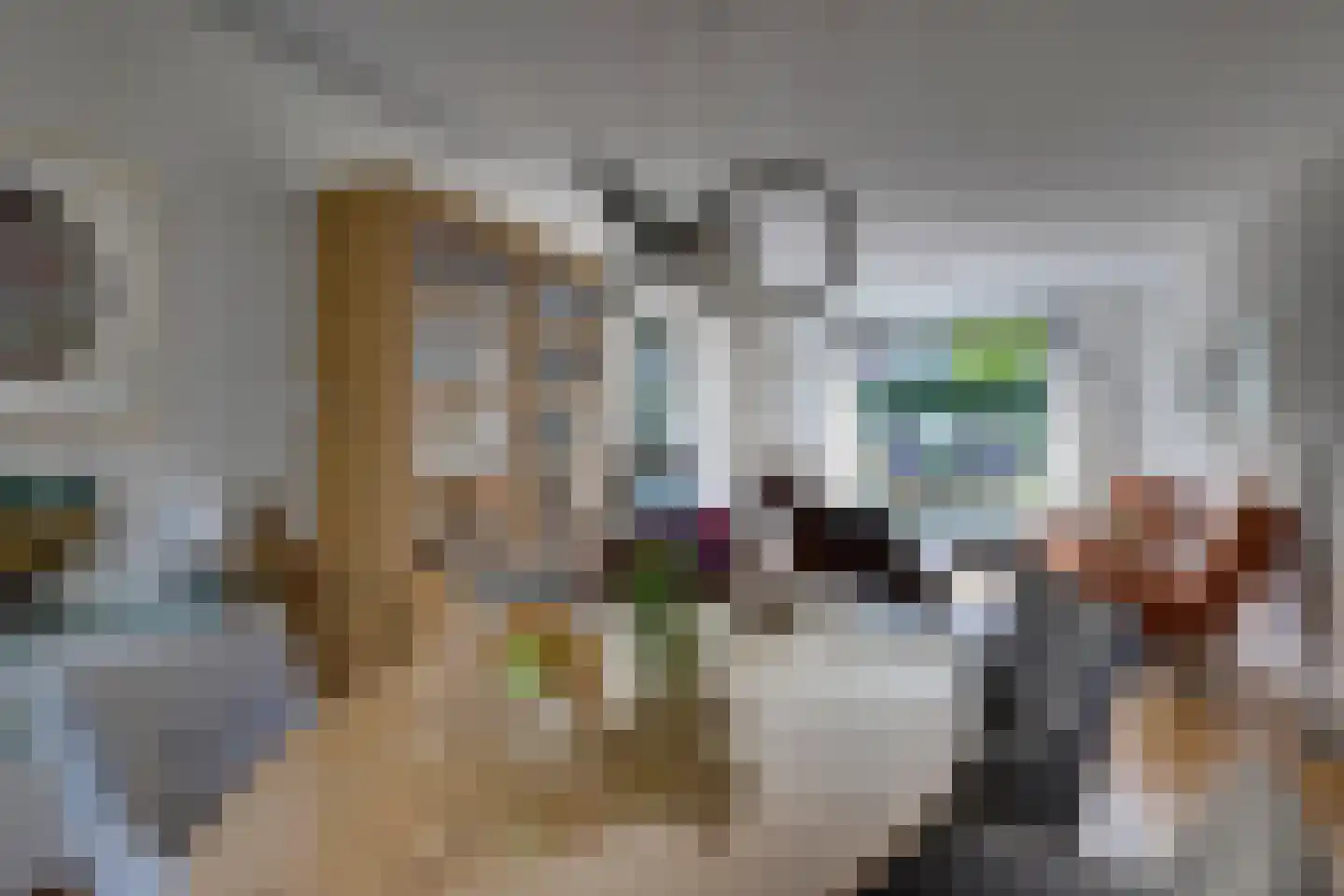 Schubertlaan 64 Eindhoven thumbnail 9