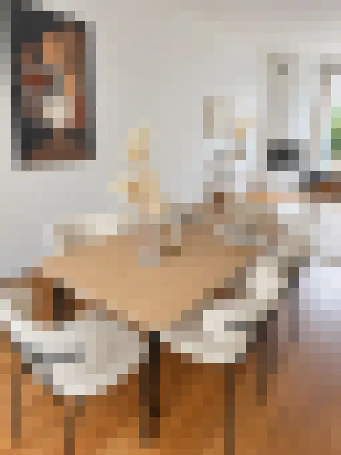 Schubertlaan 64 Eindhoven thumbnail 9