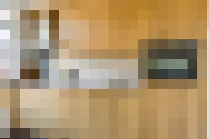 Schubertlaan 70 Eindhoven thumbnail 12