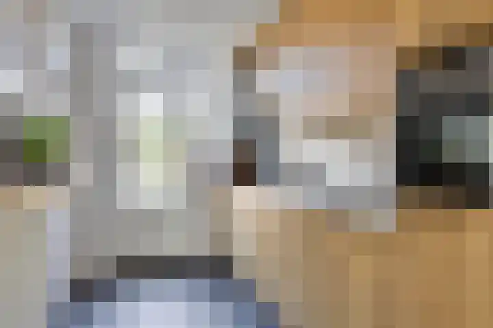 Schubertlaan 70 Eindhoven thumbnail 14