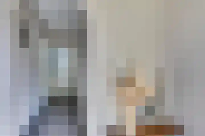 Schubertlaan 70 Eindhoven thumbnail 15
