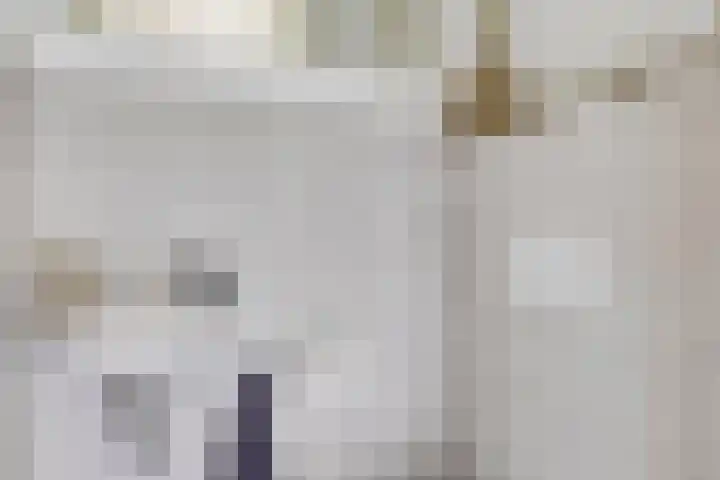 Schubertlaan 70 Eindhoven thumbnail 18