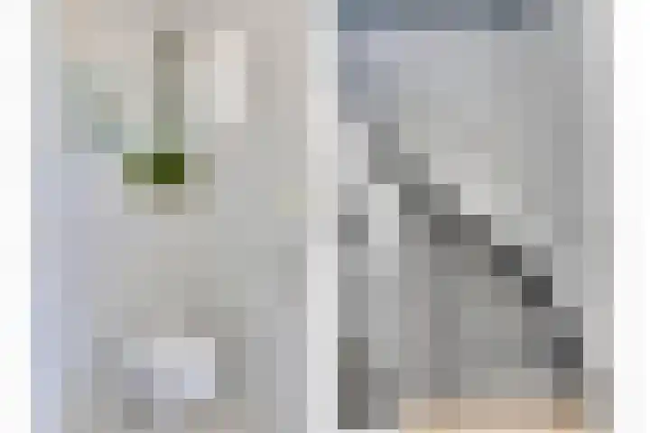 Schubertlaan 70 Eindhoven thumbnail 30