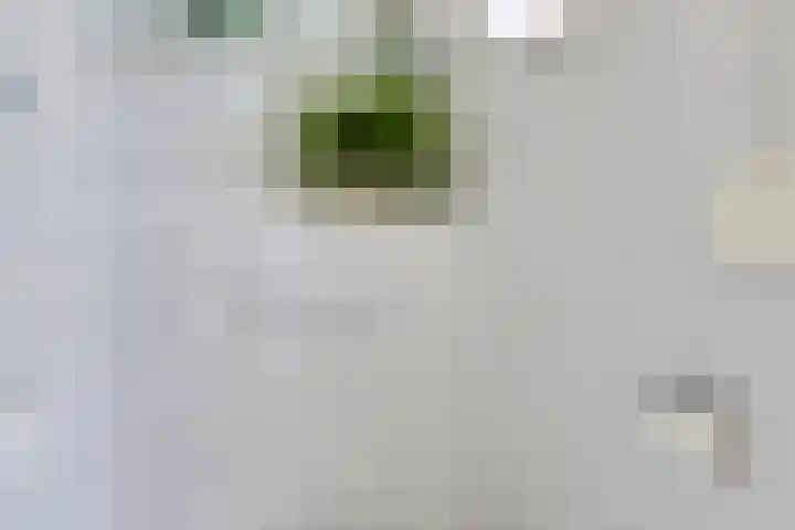 Schubertlaan 70 Eindhoven thumbnail 31