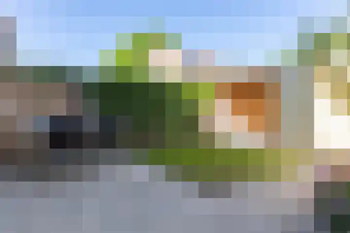 Schubertlaan 70 Eindhoven thumbnail 39
