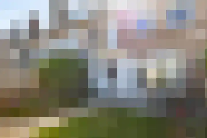 Schubertlaan 70 Eindhoven thumbnail 41