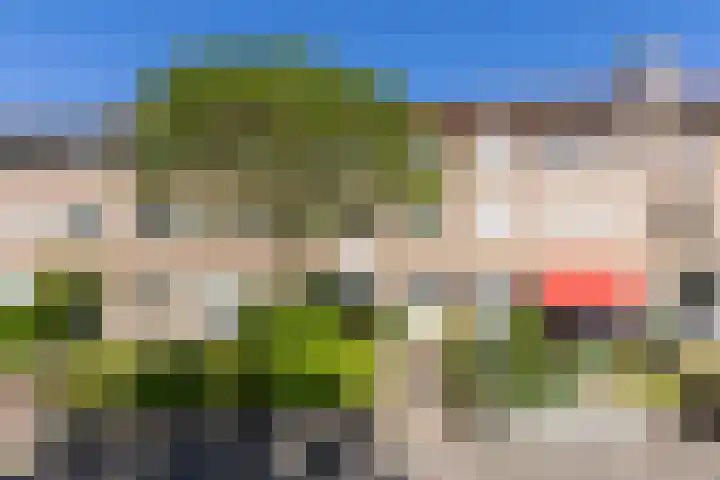 Schubertlaan 70 Eindhoven thumbnail 48