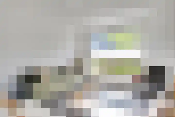 Schubertlaan 70 Eindhoven thumbnail 5