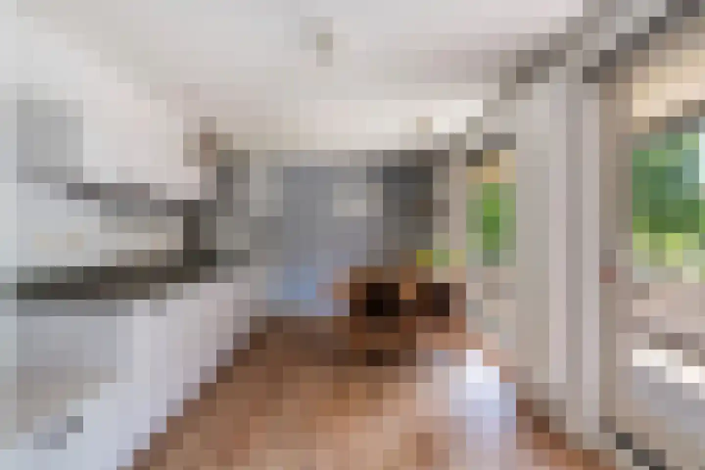 Schubertlaan 707 Maassluis thumbnail 8