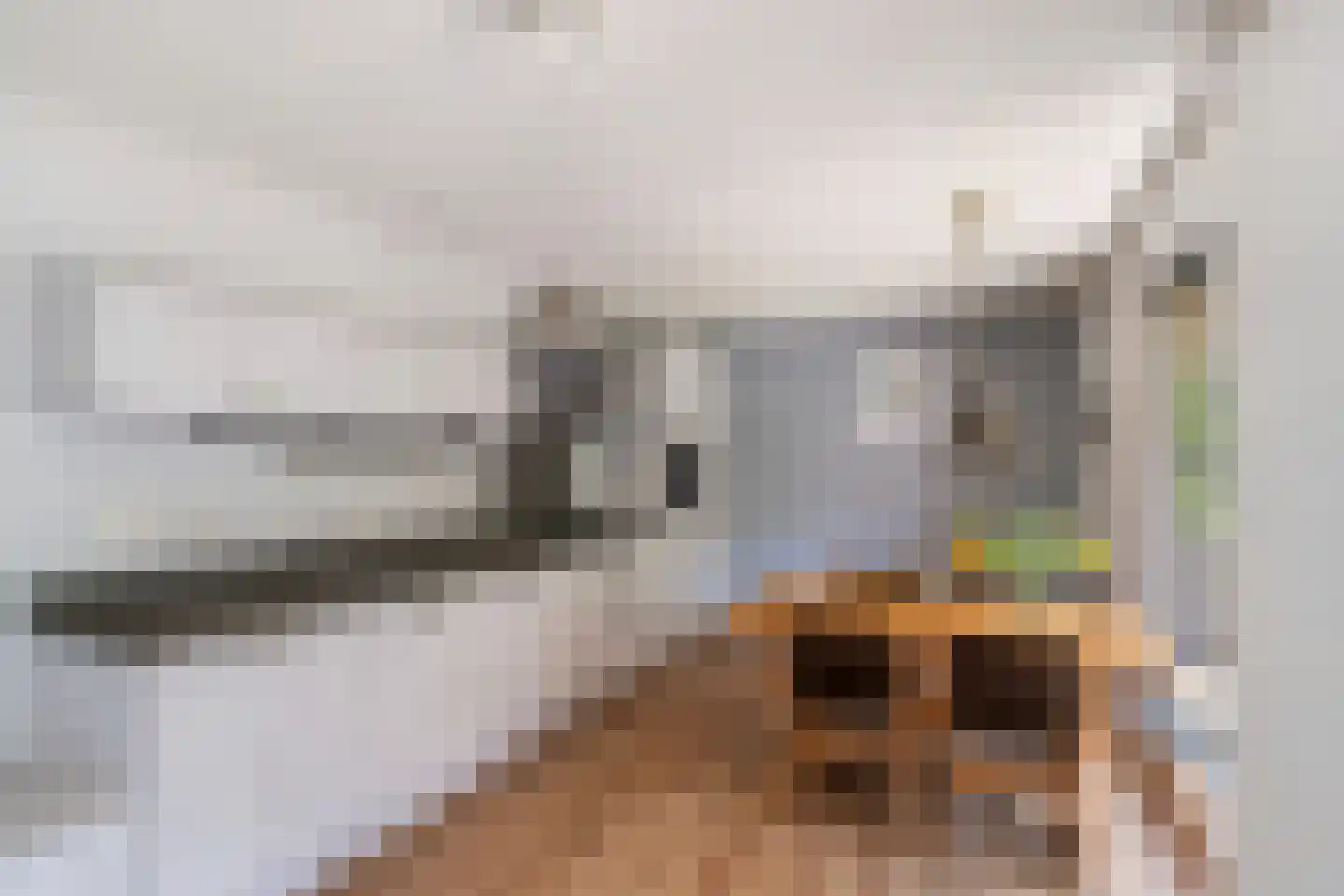 Schubertlaan 707 Maassluis thumbnail 9