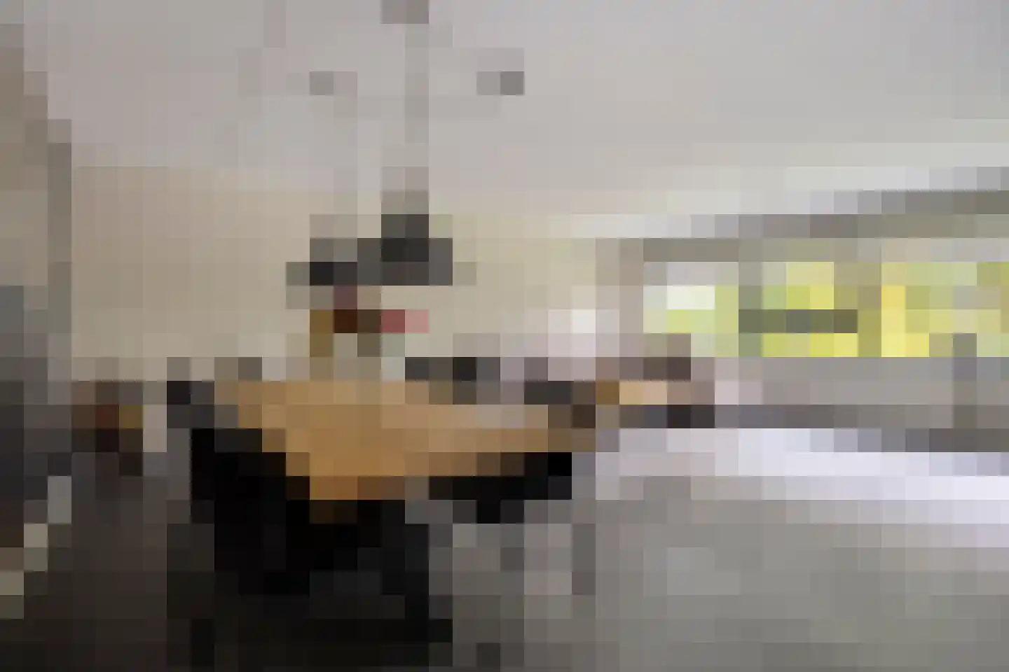 Schubertlaan 712 Maassluis thumbnail 4