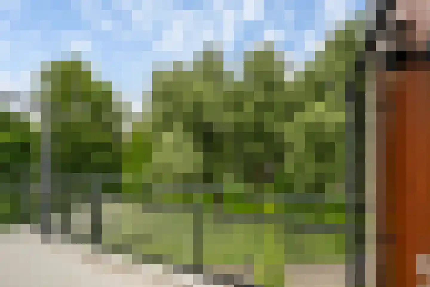 Schubertlaan 719 Maassluis thumbnail 16
