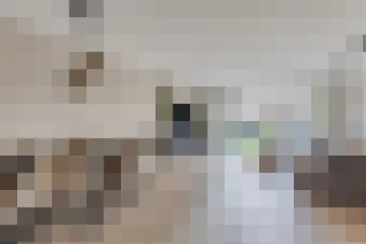 Schubertlaan 74 Nieuw-Vennep thumbnail 17