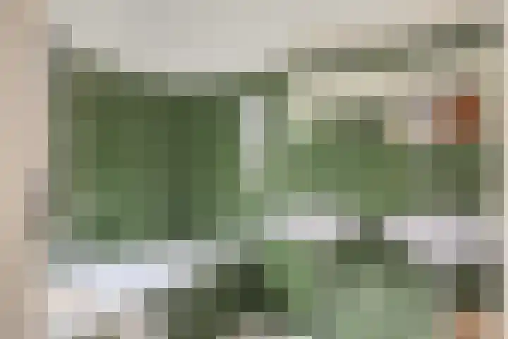 Schubertlaan 9 Vlissingen thumbnail 13