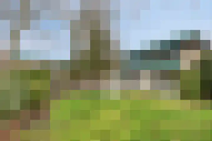 Schubertlaan 9 Vlissingen thumbnail 19