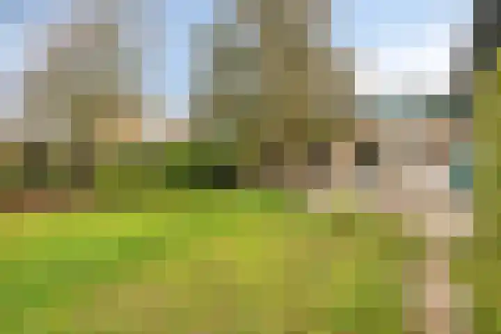 Schubertlaan 9 Vlissingen thumbnail 20