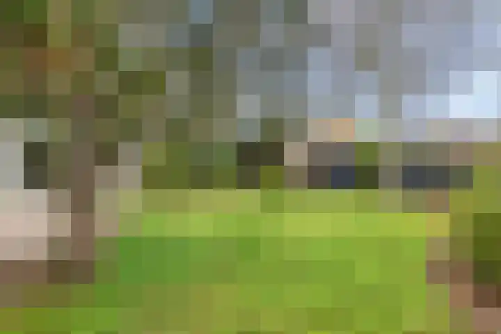 Schubertlaan 9 Vlissingen thumbnail 21