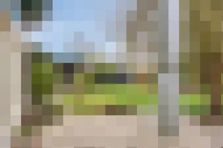 Schubertlaan 9 Vlissingen thumbnail 22